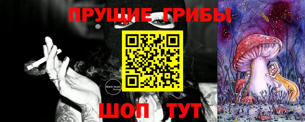 Псилоцибиновые грибы GOLDEN TEACHER Касимов